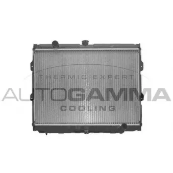 Radiateur, refroidissement du moteur AUTOGAMMA 103691