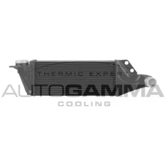 Intercooler, échangeur AUTOGAMMA 103747