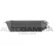 Intercooler, échangeur AUTOGAMMA [103748]
