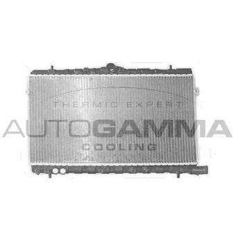 AUTOGAMMA 103772 - Radiateur, refroidissement du moteur
