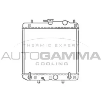 Radiateur, refroidissement du moteur AUTOGAMMA 103791