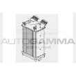 AUTOGAMMA 103862 - Intercooler, échangeur