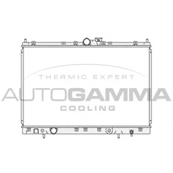 AUTOGAMMA 103866 - Radiateur, refroidissement du moteur