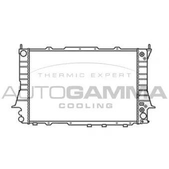 AUTOGAMMA 103879 - Radiateur, refroidissement du moteur