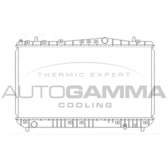 AUTOGAMMA 103905 - Radiateur, refroidissement du moteur