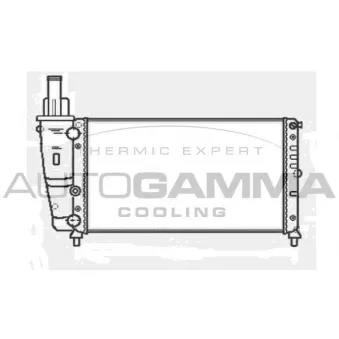 AUTOGAMMA 103915 - Radiateur, refroidissement du moteur