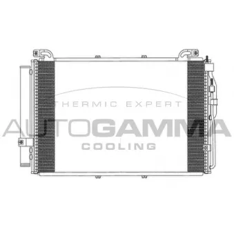 Condenseur, climatisation AUTOGAMMA OEM 9760617000