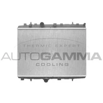 Radiateur, refroidissement du moteur AUTOGAMMA 103971