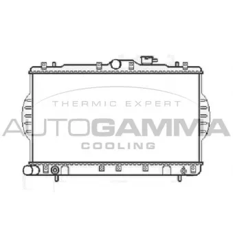 Radiateur, refroidissement du moteur AUTOGAMMA OEM 2531022A00