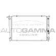AUTOGAMMA 104072 - Radiateur, refroidissement du moteur