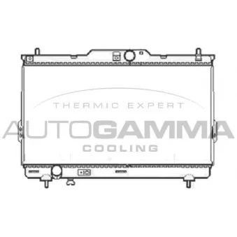 Radiateur, refroidissement du moteur AUTOGAMMA 104073