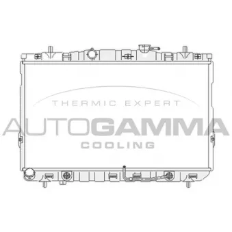 AUTOGAMMA 104077 - Radiateur, refroidissement du moteur