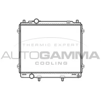 AUTOGAMMA 104079 - Radiateur, refroidissement du moteur