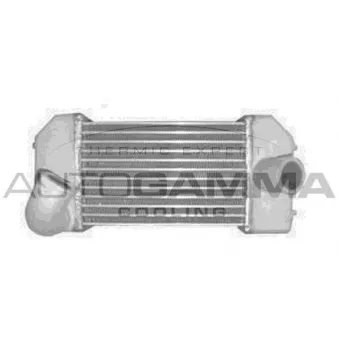 AUTOGAMMA 104136 - Intercooler, échangeur