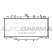 Radiateur, refroidissement du moteur AUTOGAMMA [104157]