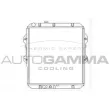 AUTOGAMMA 104163 - Radiateur, refroidissement du moteur