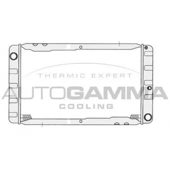 AUTOGAMMA 104199 - Radiateur, refroidissement du moteur