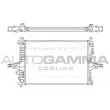 AUTOGAMMA 104208 - Radiateur, refroidissement du moteur