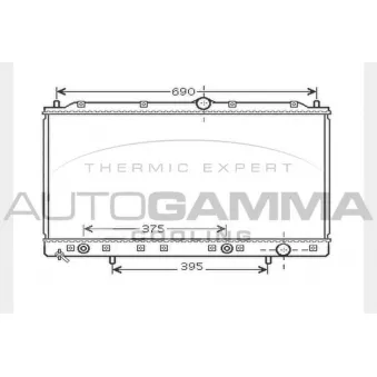 AUTOGAMMA 104287 - Radiateur, refroidissement du moteur