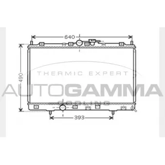 Radiateur, refroidissement du moteur AUTOGAMMA 104294