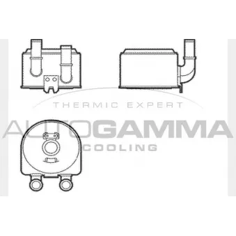 Radiateur d'huile AUTOGAMMA 104385