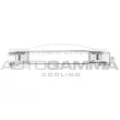 AUTOGAMMA 104411 - Intercooler, échangeur