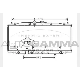 Radiateur, refroidissement du moteur AUTOGAMMA OEM 19010RBBE51