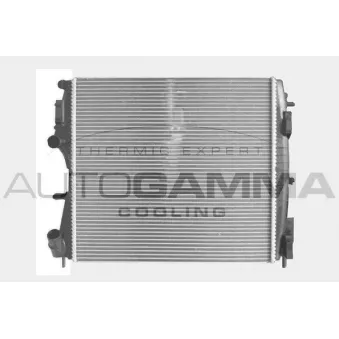 AUTOGAMMA 104558 - Radiateur, refroidissement du moteur