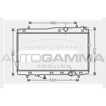 Radiateur, refroidissement du moteur AUTOGAMMA 104595