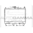 AUTOGAMMA 104599 - Radiateur, refroidissement du moteur