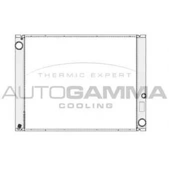 Radiateur, refroidissement du moteur AUTOGAMMA 104667