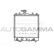 Radiateur, refroidissement du moteur AUTOGAMMA [104700]