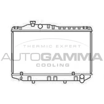 Radiateur, refroidissement du moteur AUTOGAMMA 104724
