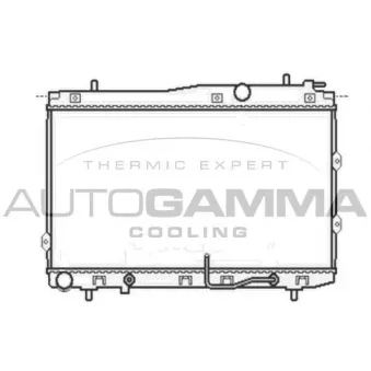 Radiateur, refroidissement du moteur AUTOGAMMA OEM 253102F050