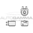AUTOGAMMA 104785 - Radiateur d'huile