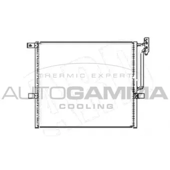 Condenseur, climatisation AUTOGAMMA OEM 17113400400