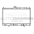 Radiateur, refroidissement du moteur AUTOGAMMA [105052]