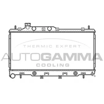 AUTOGAMMA 105055 - Radiateur, refroidissement du moteur