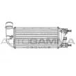 AUTOGAMMA 105065 - Intercooler, échangeur