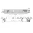 AUTOGAMMA 105097 - Intercooler, échangeur