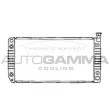 AUTOGAMMA 105119 - Radiateur, refroidissement du moteur