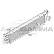 AUTOGAMMA 105141 - Intercooler, échangeur