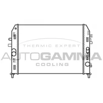 Radiateur, refroidissement du moteur AUTOGAMMA 105167