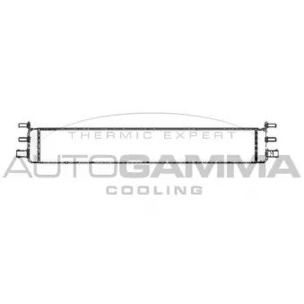 AUTOGAMMA 105171 - Radiateur, refroidissement du moteur