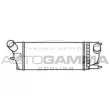 AUTOGAMMA 105190 - Intercooler, échangeur