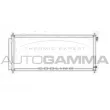 AUTOGAMMA 105244 - Condenseur, climatisation