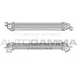 AUTOGAMMA 105252 - Intercooler, échangeur