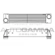 AUTOGAMMA 105254 - Intercooler, échangeur