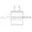 Système de chauffage AUTOGAMMA [105275]