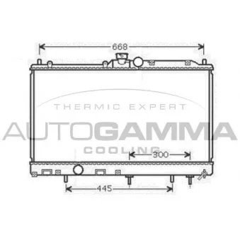 Radiateur, refroidissement du moteur AUTOGAMMA 105398